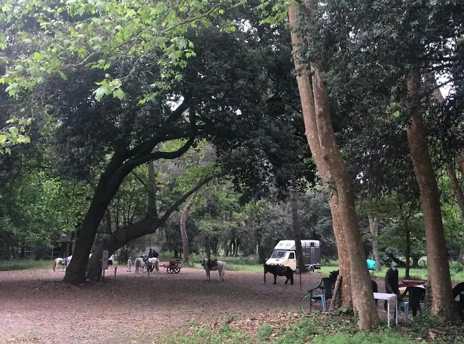 Riva Dei Fiori شقة *