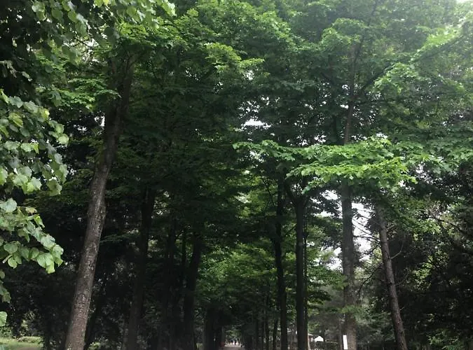 شقة Riva Dei Fiori فياريجيو