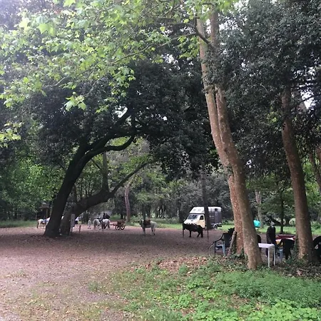 Riva Dei Fiori アパート *