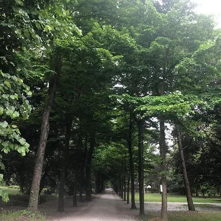 Apartman Riva Dei Fiori Viareggio