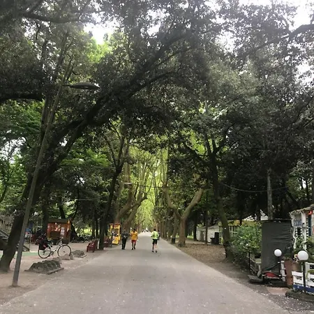 Riva Dei Fiori *